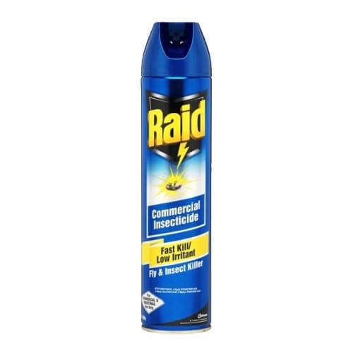 INSECT SPRAY RAID FAST KILL 300G