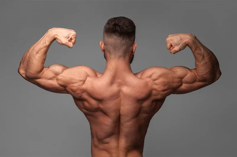 Top Legal Steroid for Muscle Growth and Bodybuilding