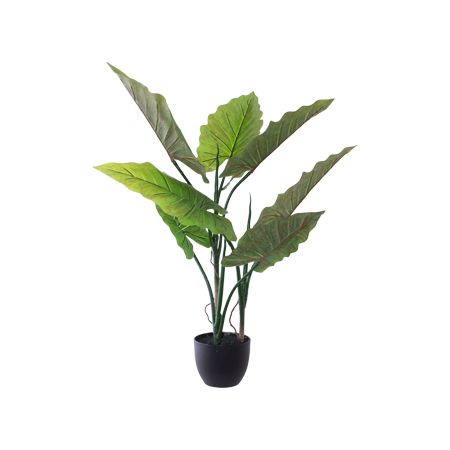 POTTED ELEPHANT EAR 80CM