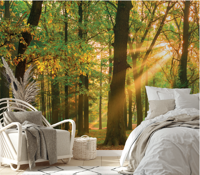 MURAL WOODLAND 375CM X 250CM