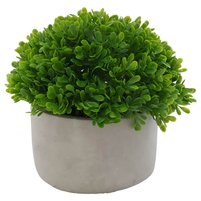 PEARL GRASS WITH CEMENT POT 19X20