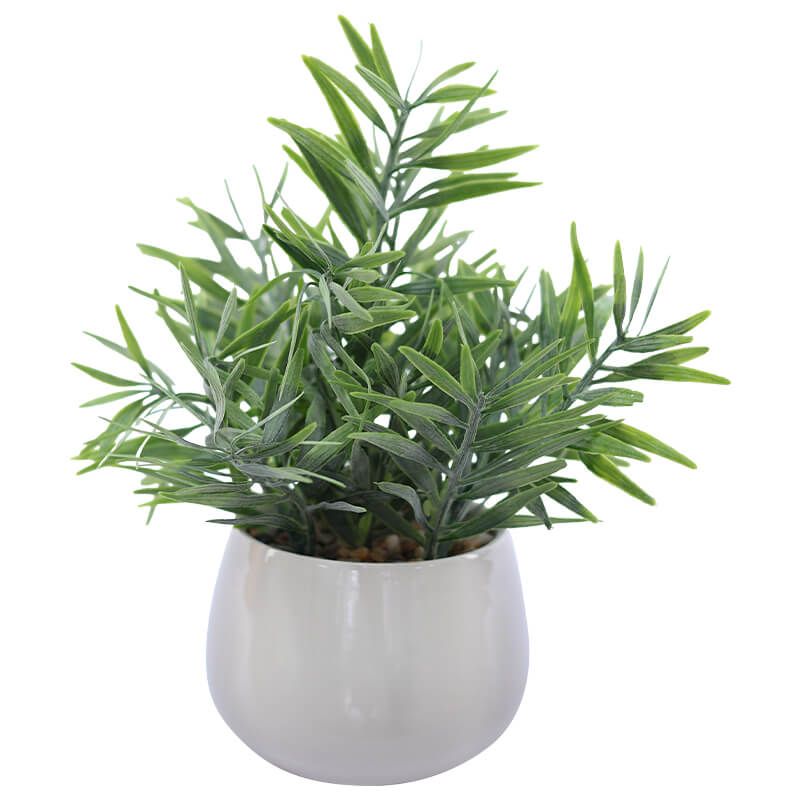 HERB WHITE POT 24X10CM