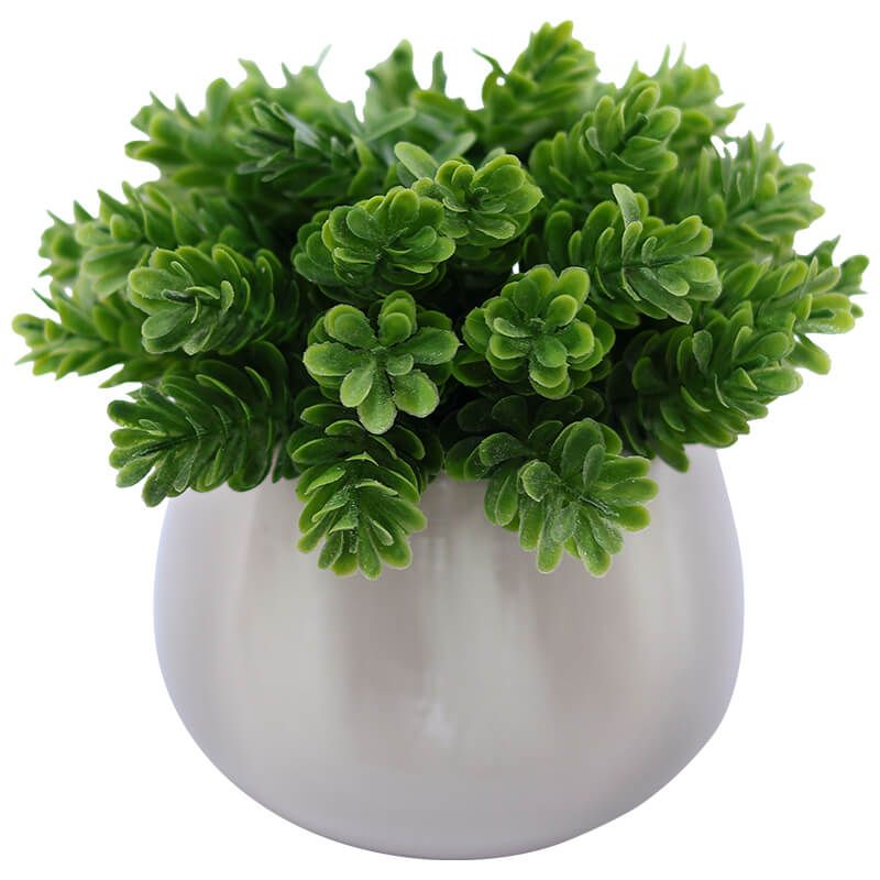 SPRIG GREEN WHITE POT 15X10CM