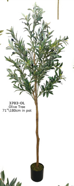 OLIVE TREE 180CM