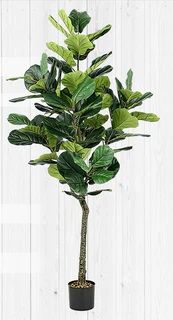 FIDDLE TREE 180CM