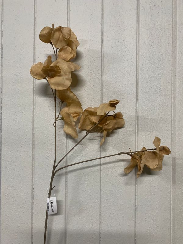 DRY LOOK LEAF CREAM