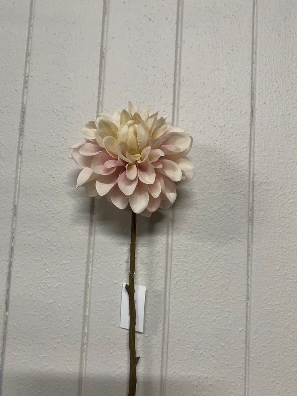 DALHIA 55cm PINK