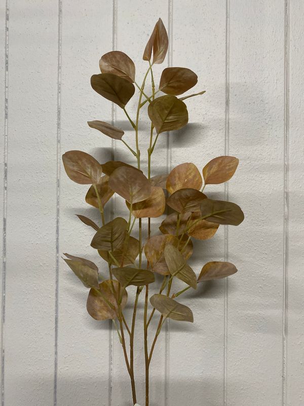 SILVER DOLLAR 94CM SPRAY LT BROWN