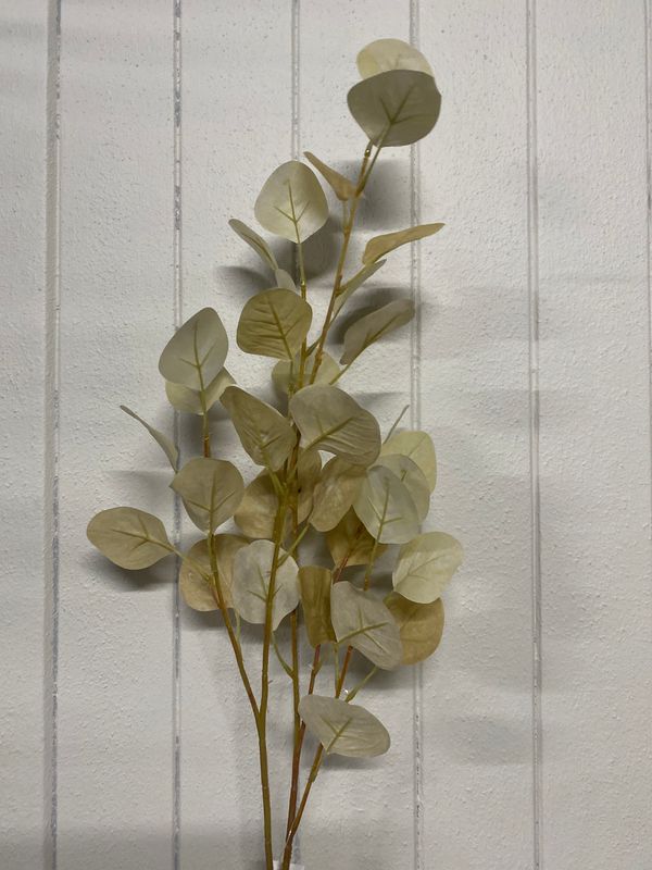 EUCALYPTUS SPRAY 94cm CREAM