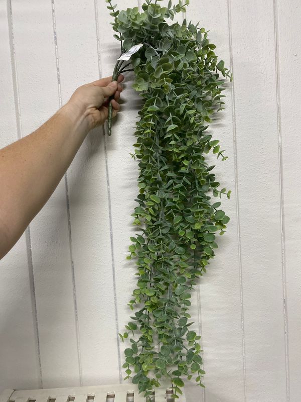 HANGING EUCALYPTUS BUSH