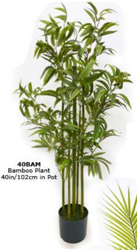 BAMBOO PLANT 102CM IN POT
