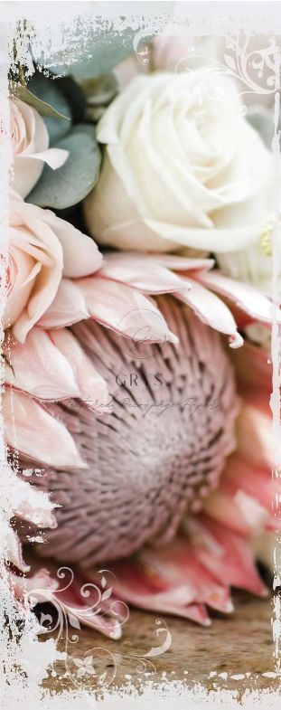 GRYS DECOUPAGE PROTEA DOOR