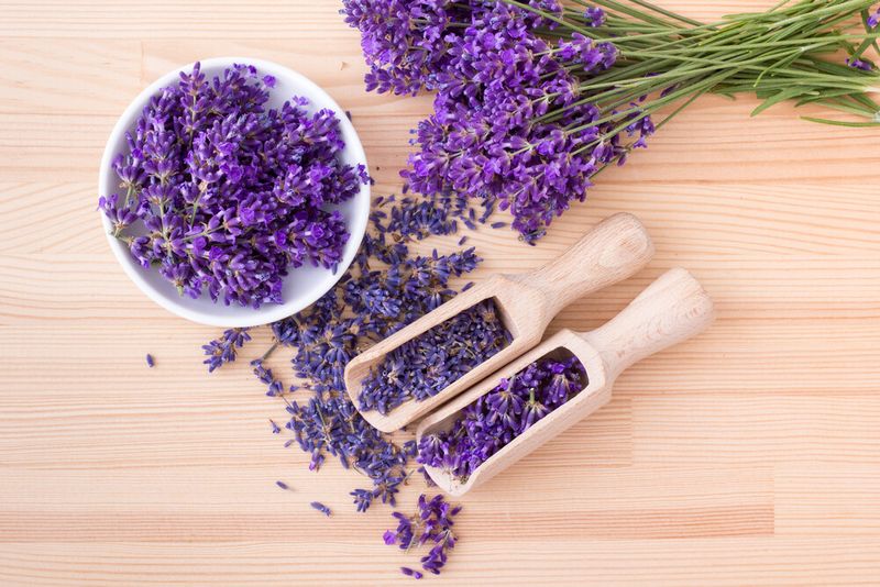 FRAGRANZA DI &quot;LAVANDA&quot;