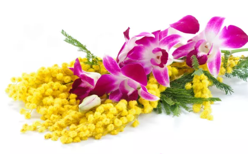 FRAGRANZA DI &quot;ORCHIDEA E MIMOSA&quot;