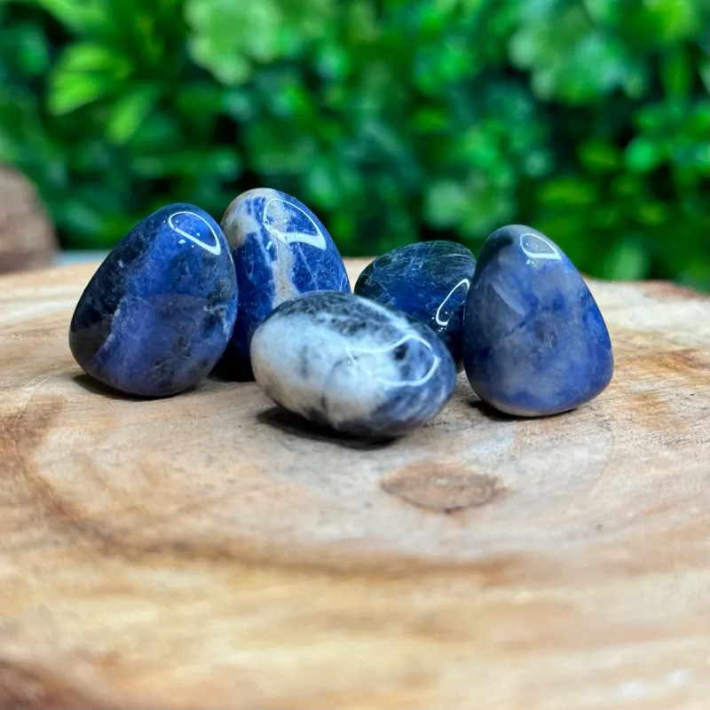 MINERALE &quot;SODALITE&quot; (2pz)