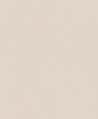 Vliesbehang Bestsellers 1  Casbah/BS1 plain taupe 520330