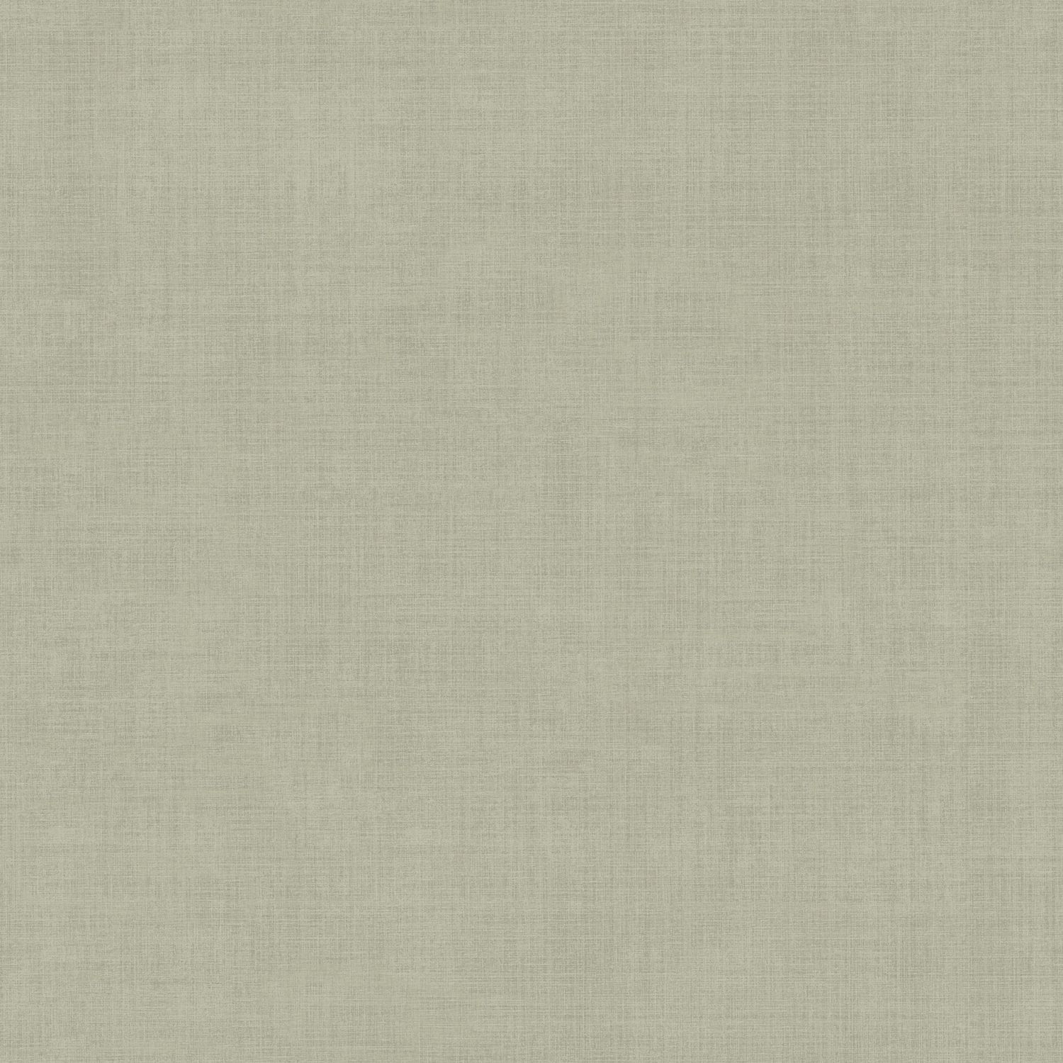 Vliesbehang  FC Midolin- Pinje Light green