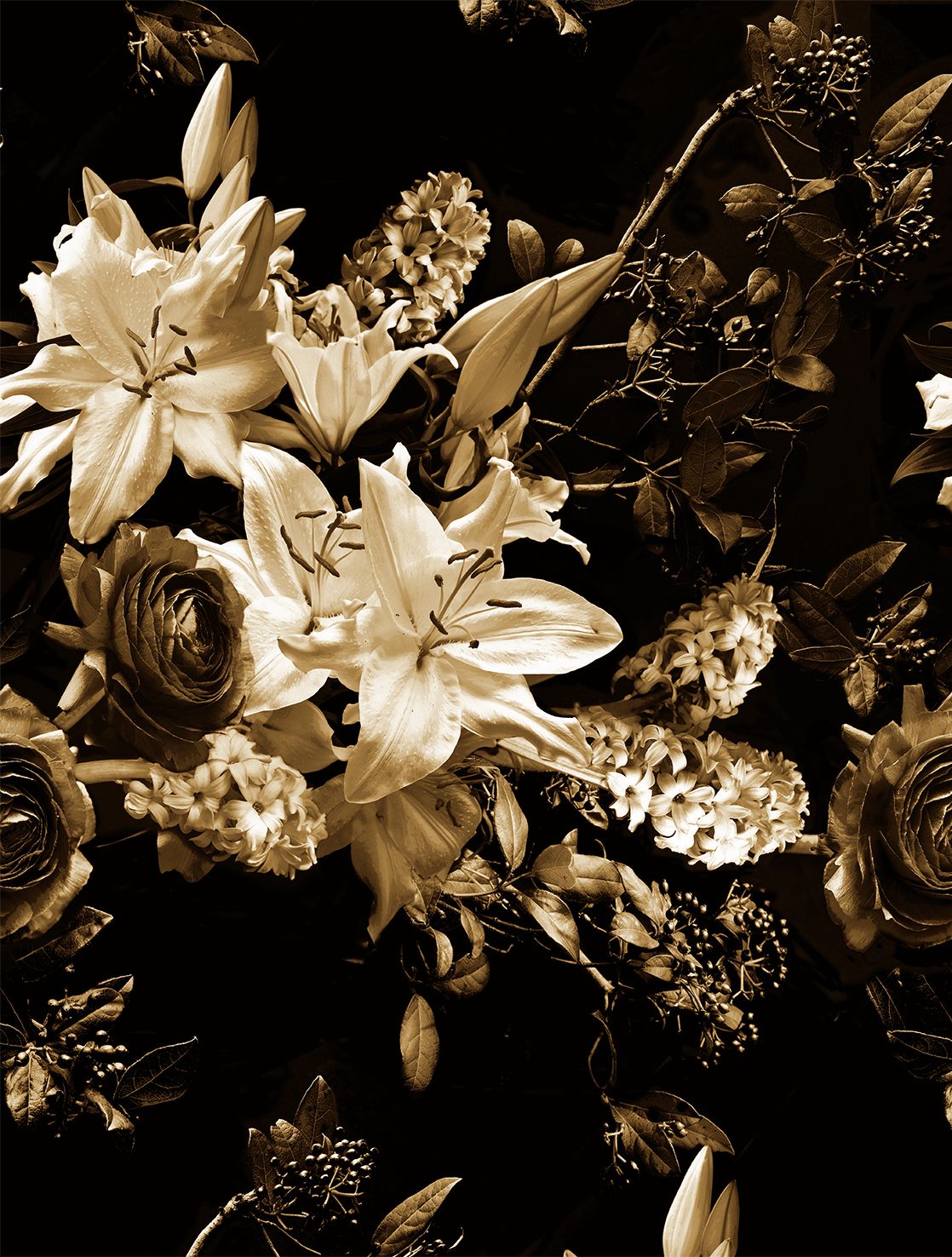 Poster-vliesbehang Feature W- Flowers sepia 212x280cm FW4065-2