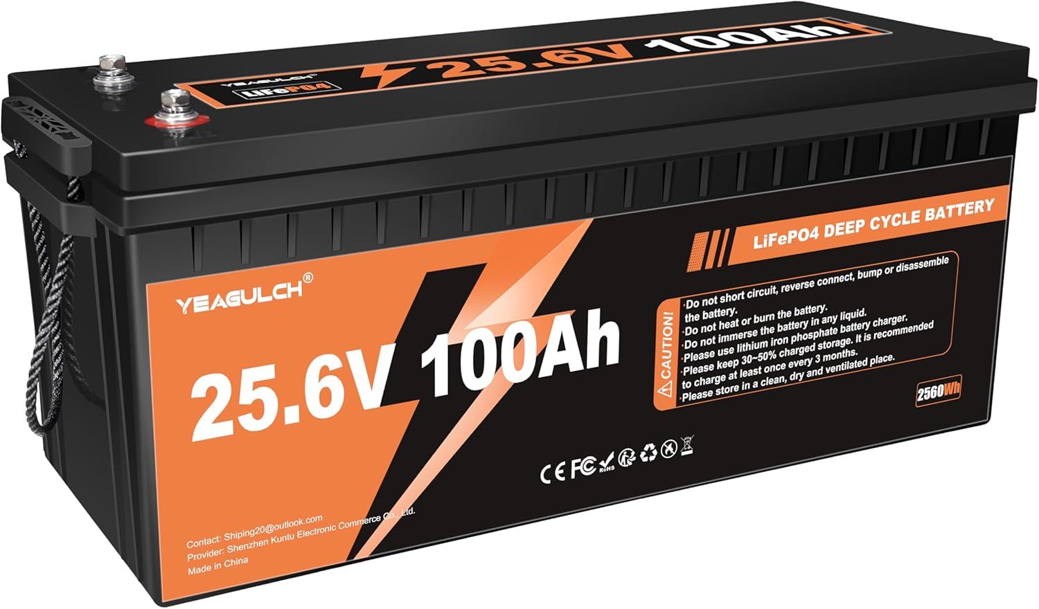 24V 100Ah LiFePO4 Lithium Battery Built-in 100A