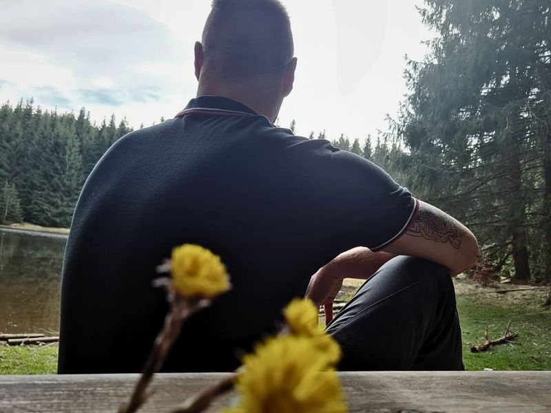 Herren Piqué Poloshirt Kurzarm