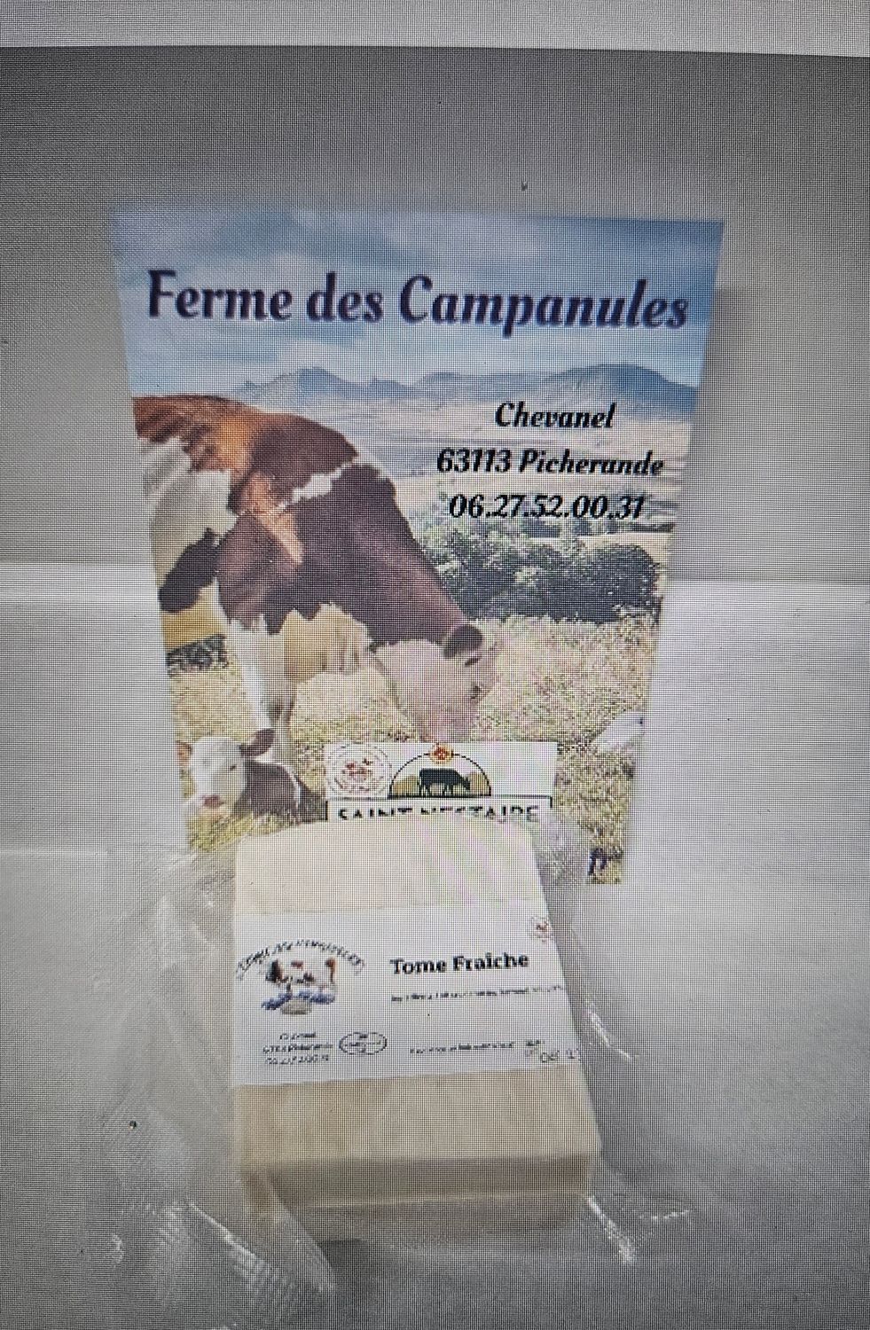 Tome fraîche du sancy