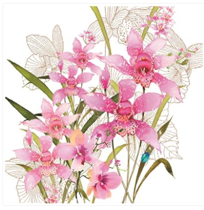 Carte d&#39;anniversaire orchidées roses