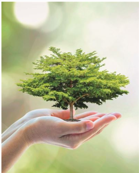 Carte d'anniversaire protection nature