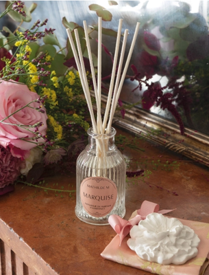 Diffuseurs de parfums et tablettes parfumées