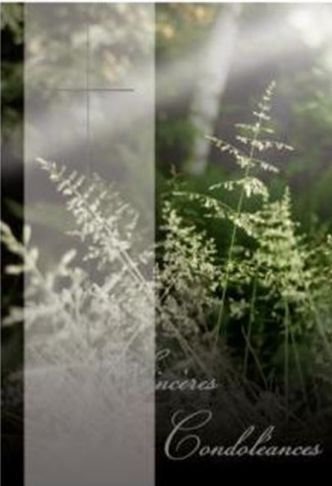Carte sincères condoléances fougères