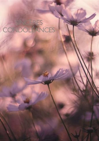 Carte de condoléances fleurs mauves