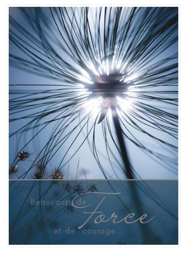 Carte de deuil pissenlit