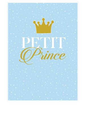 Carte de naissance Petit Prince