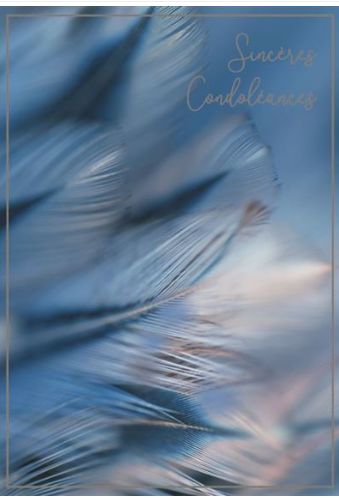 Carte de deuil pissenlit