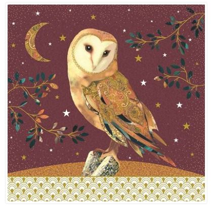 Carte d'anniversaire chouette