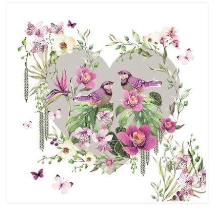 Carte coeur et oiseaux