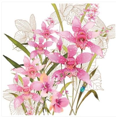 Carte d'anniversaire orchidées roses