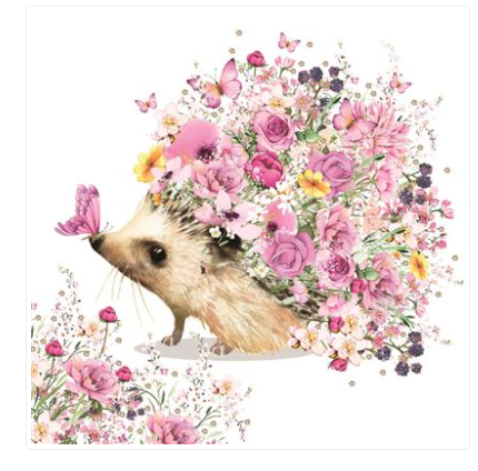 Carte d'anniversaire hérisson