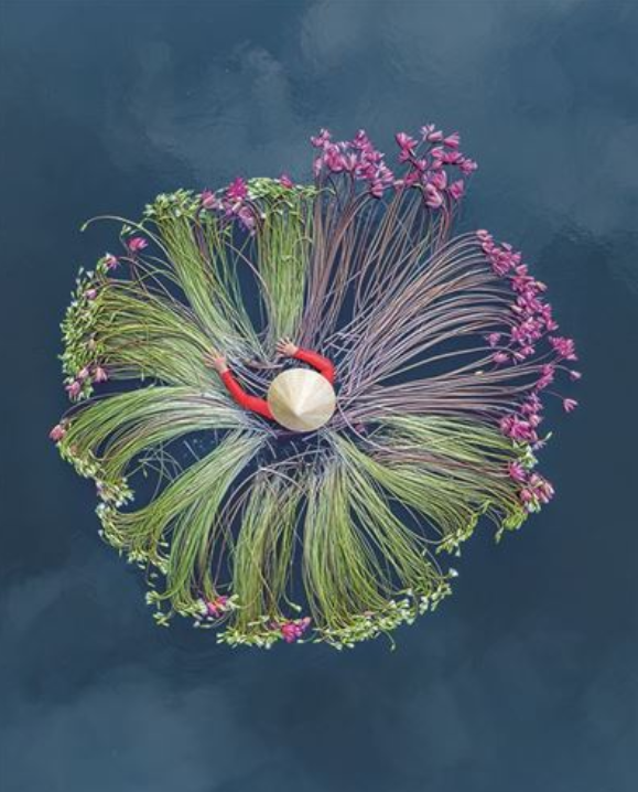 Carte d'anniversaire fleurs de lotus