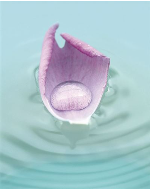 Carte d'anniversaire goutte d'eau sur une feuille