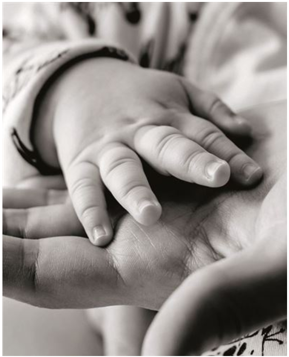 Carte de naissance  main de bébé