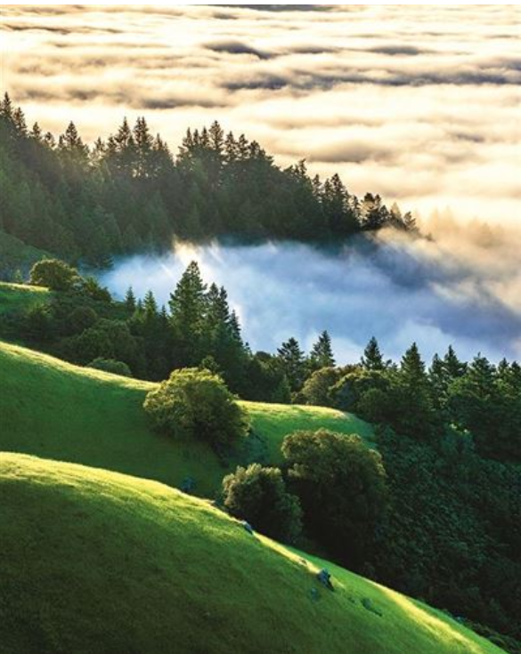 Carte d'anniversaire paysage de colines