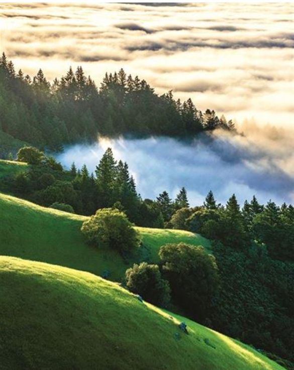 Carte d'anniversaire paysage de colines