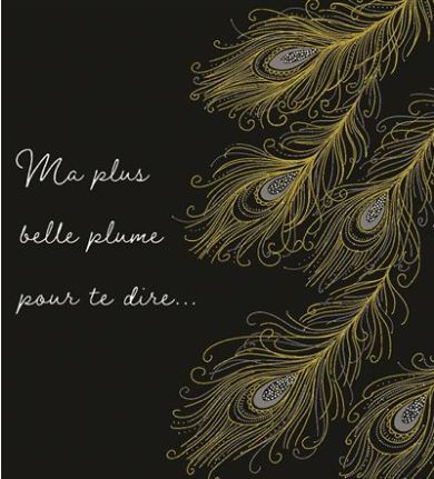 Carte ma plus belle plume pour t'écrire