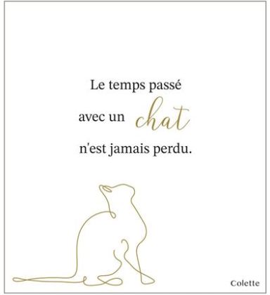 Carte le temps passé avec un chat