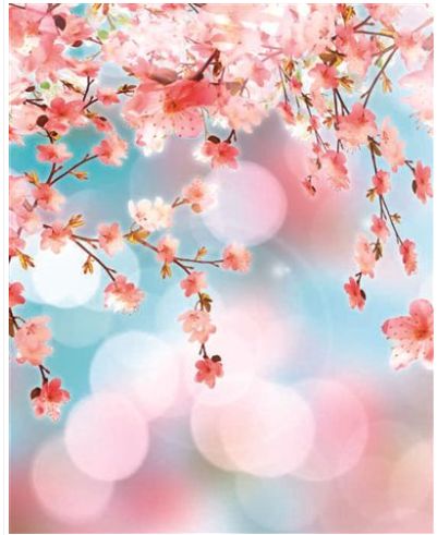 Carte d'anniversaire fleurs de cerisiers