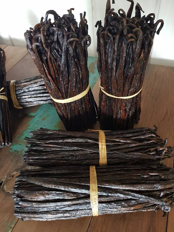 GOUSSES DE VANILLE de Madagascar par 10 idéal thermomix