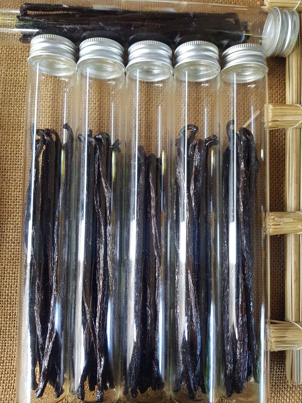TUBE 10 GOUSSES DE VANILLE de Madagascar