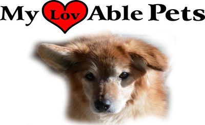My Lovable Pets
