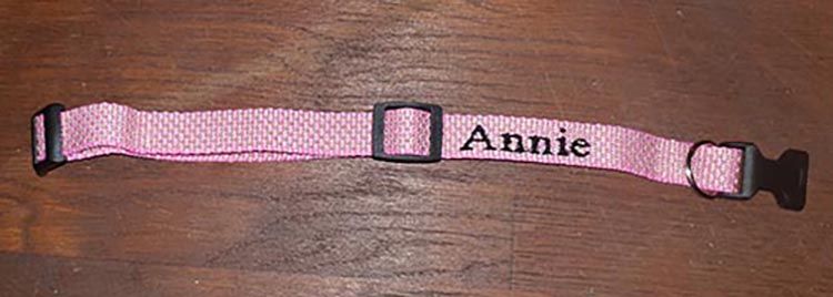 Pet Collar
