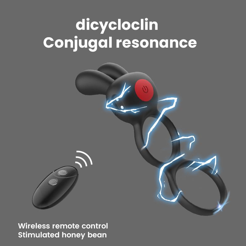 Rabbit Dream Vibrating Cock Ring + Remote Control